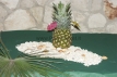 05_party_planet_feste_a_tema_hawaiana