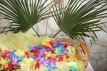 09_party_planet_feste_a_tema_hawaiana